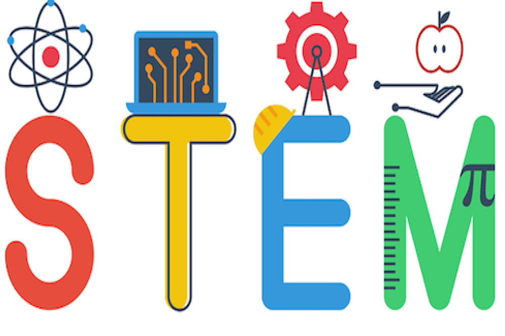 stem